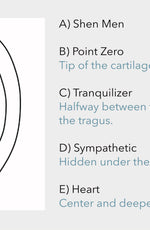 A diagram of an ear with five labeled points: Shen Men, Point Zero, Tranquilizer, Sympathetic, and Heart. Each point is labeled with a letter and a brief description of its location.