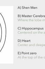 A diagram of an ear with five labeled points: Shen Men, Master Cerebral, Hippocampus, Heart, and Point Zero. Each point is labeled with a letter and a brief description of its location.